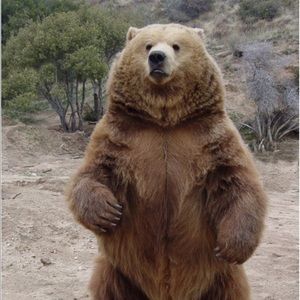 Meet your Posher, Simone